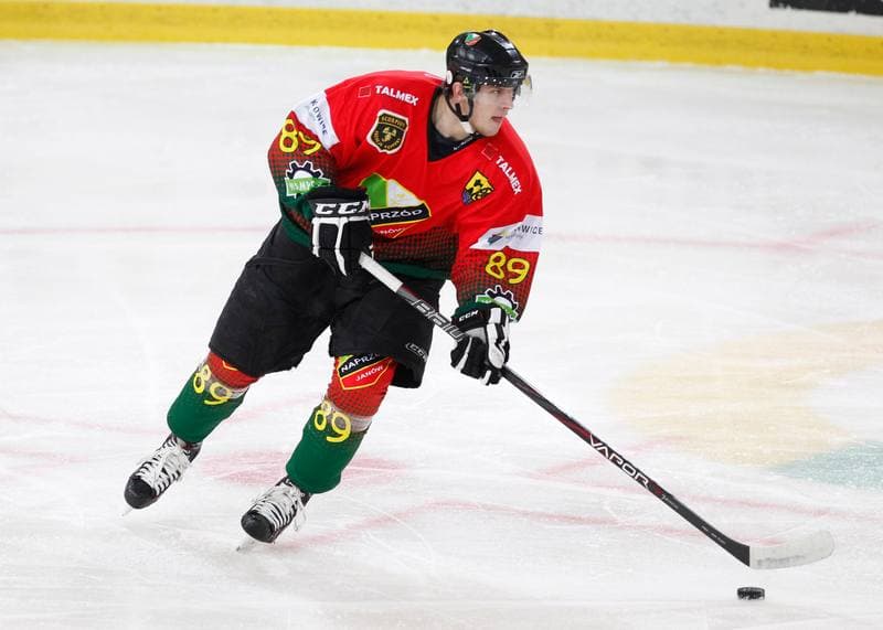 Ice Hockey. Polska Hokej Liga. HC GKS Katowice - Naprzod Janow. 05.12.2014
