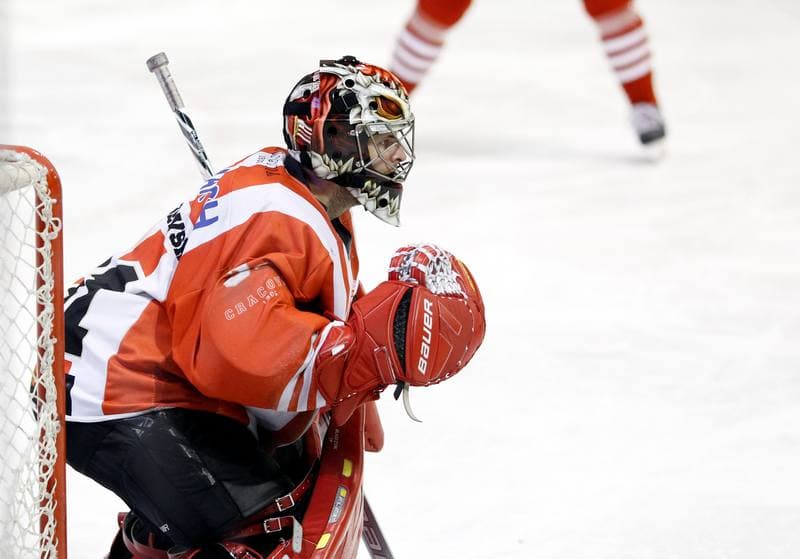 Ice Hockey. Polska Hokej Liga. GKS Tychy - Comarch Cracovia Krakow. 19.01.2014