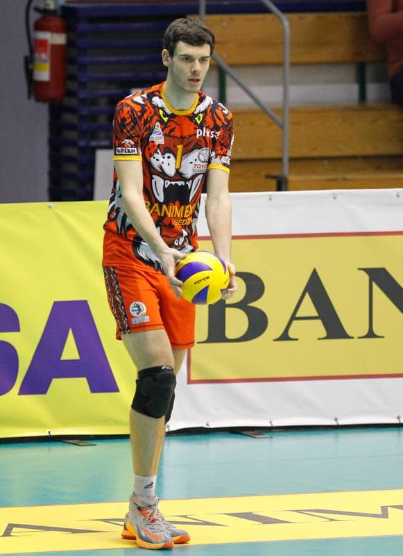 Volleyball. PlusLiga. MKS Banimex Bedzin - AZS Politechnika Warszawska. 07.02.2015