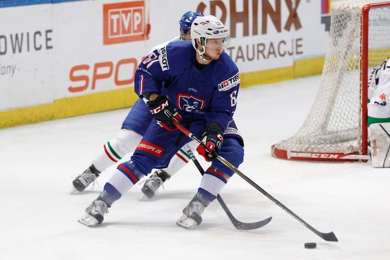 Ice Hockey. EIHC. France - Italy. 18.12.2015