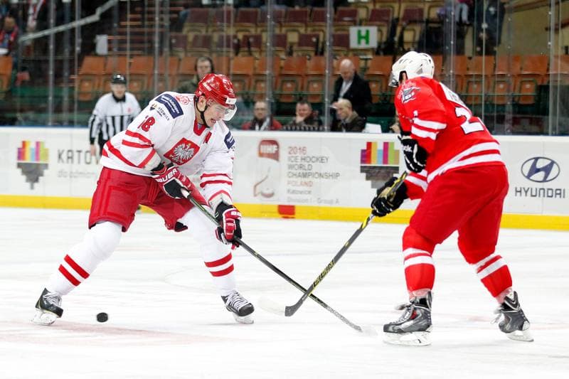 Ice Hockey. Friendly Match. Poland - Stars of PHL. 06.02.2016