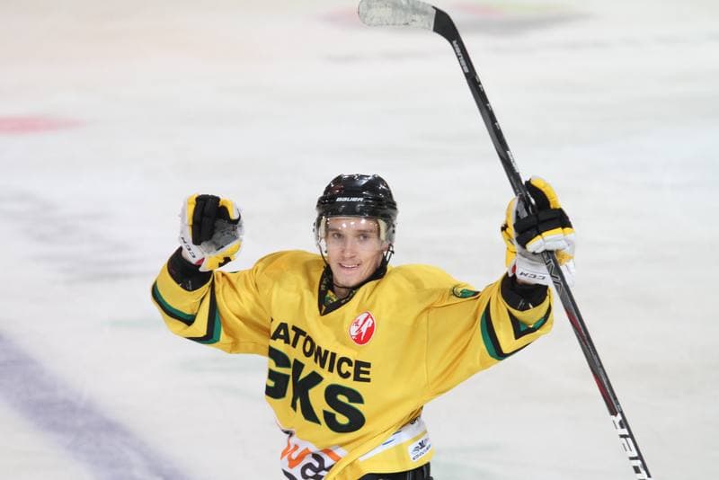 Ice Hockey. Polska Hokej Liga. HC GKS Katowice - Polonia Bytom. 26.01.2014