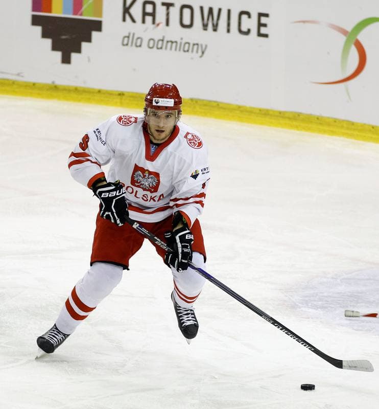 Ice Hockey. Euro Ice Hockey Challenge. Poland - Slovenia. 05.11.2015