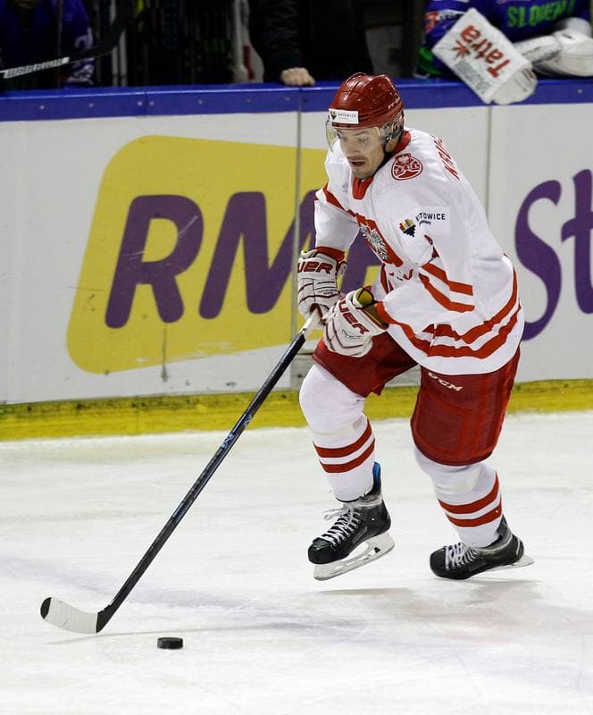 Ice Hockey. Euro Ice Hockey Challenge. Poland - Slovenia. 05.11.2015