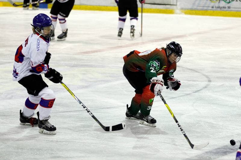 Ice Hockey. PLHK. Polonia Bytom - Naprzod Janow. 21.10.2017