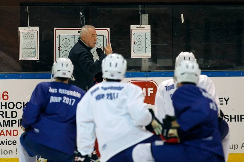 Ice Hockey. France. Training. 15.12.2015