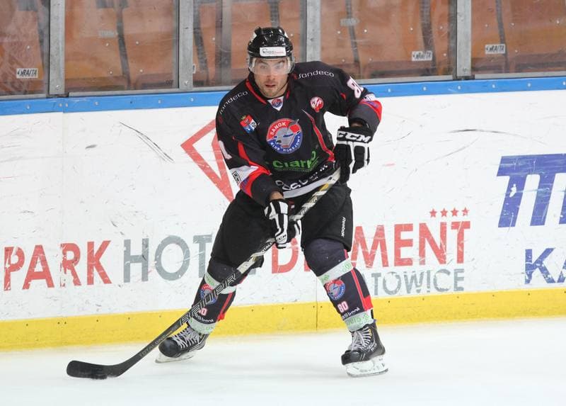Ice Hockey. Polska Hokej Liga. HC GKS Katowice - Ciarko KH Sanok. 17.01.2014