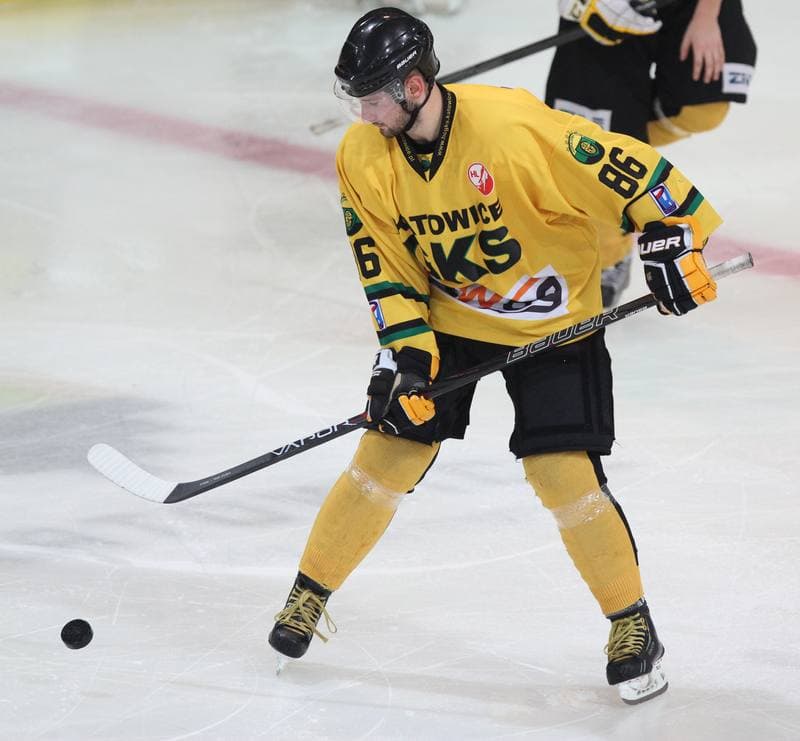 Ice Hockey. Polska Hokej Liga. HC GKS Katowice - Ciarko KH Sanok. 17.01.2014