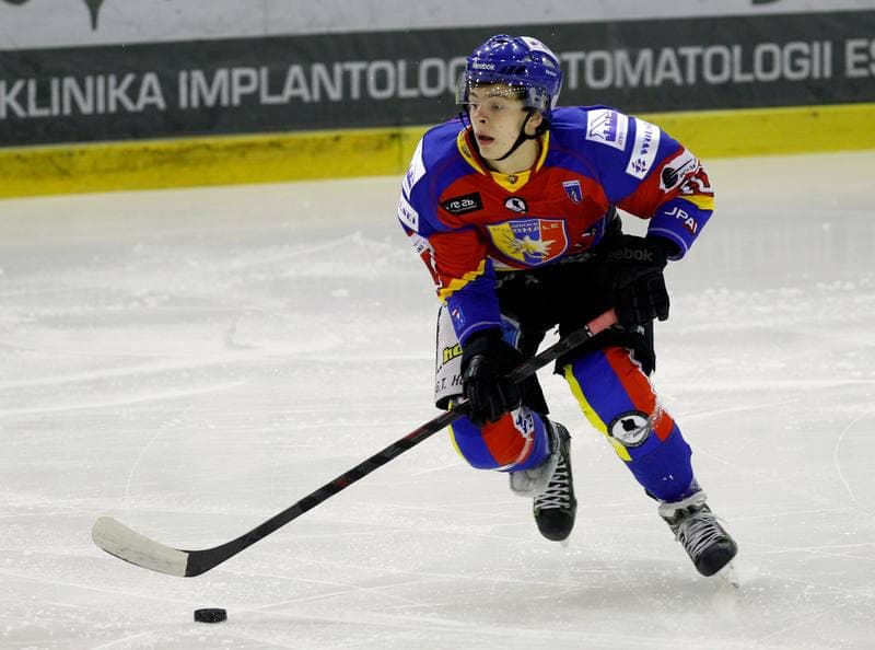 Ice Hockey. Tauron Hokej Liga. Naprzod Janow - Podhale Nowy Targ. 14.11.2014