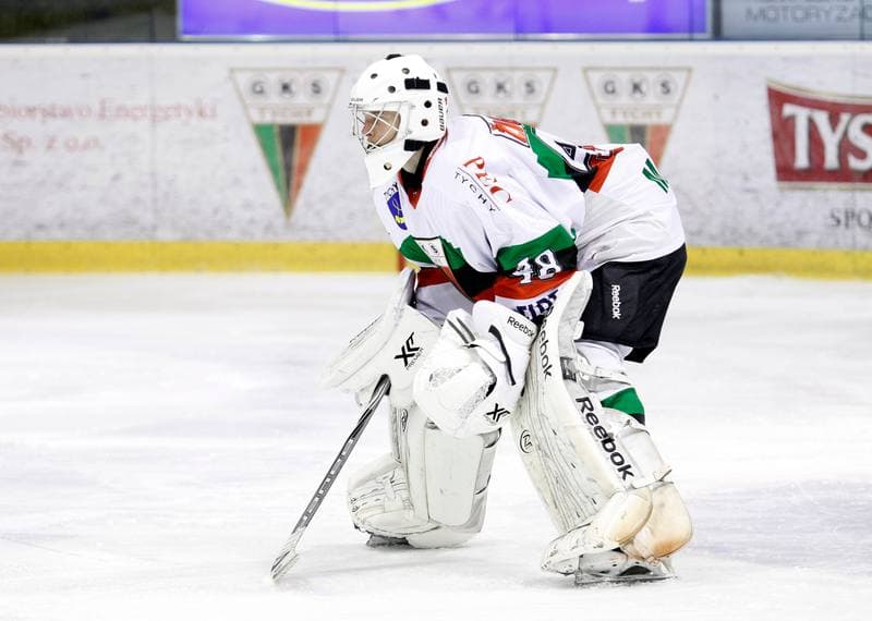 Ice Hockey. Polska Hokej Liga. GKS Tychy - JKH GKS Jastrzebie. 30.11.2014