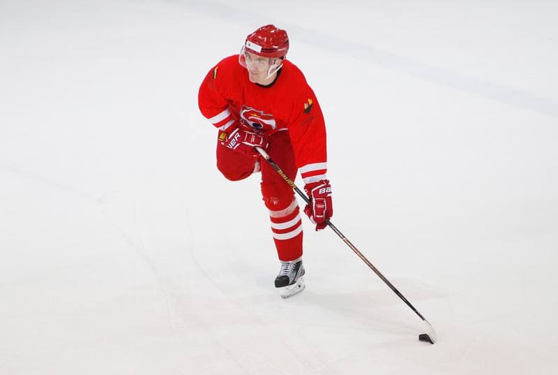 Ice Hockey. Poland national team. Training. 13.04.2016
