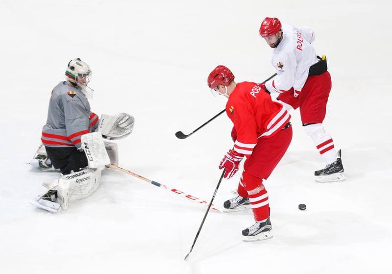 Ice Hockey. Poland national team. Training. 13.04.2016