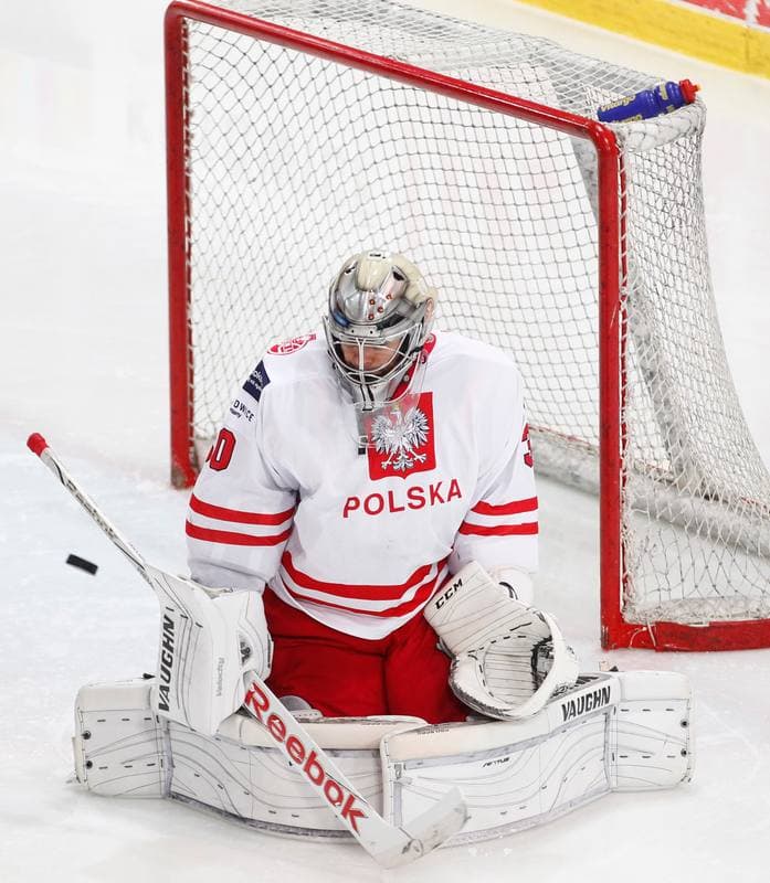 Ice Hockey. International Friendly Match. Poland - Lithuania. 14.04.2016