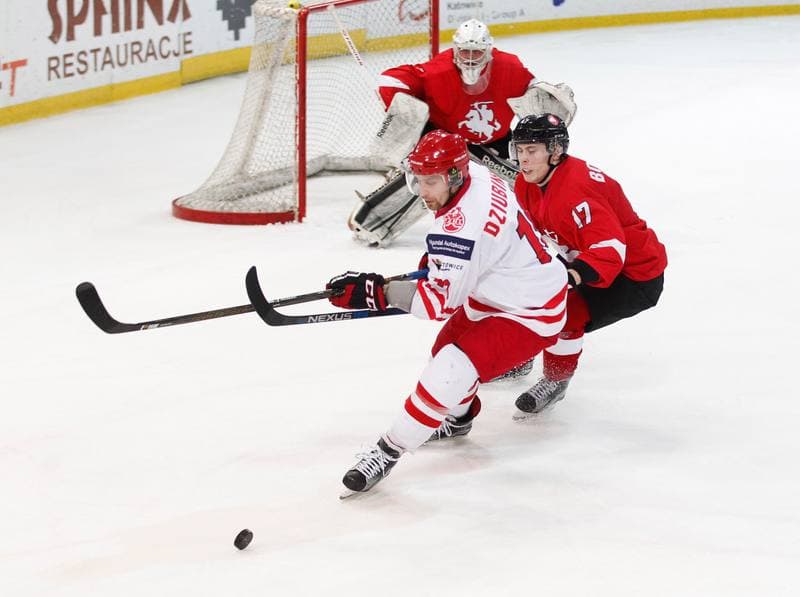 Ice Hockey. International Friendly Match. Poland - Lithuania. 14.04.2016