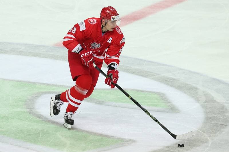 Ice Hockey. World Championship Division 1A. Poland - Japan. 29.04.2016