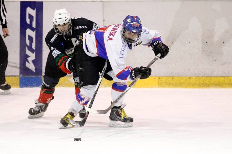Ice Hockey. PLHK. Polonia Bytom - Atomowki Tychy. 27.01.2017