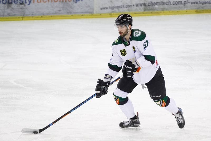 Ice Hockey. I Liga. Naprzod Janow - UKH Debica. 12.02.2017