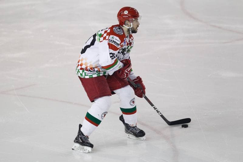 Ice Hockey. Polska Hokej Liga. Zaglebie Sosnowiec - Comarch Cracovia. 22.01.2019