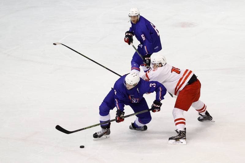 Ice Hockey. Friendly Match. Poland U20 - France U20. 06.08.2016