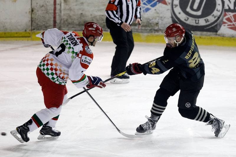 Ice Hockey. Polska Hokej Liga. Zaglebie Sosnowiec - Comarch Cracovia. 22.01.2019