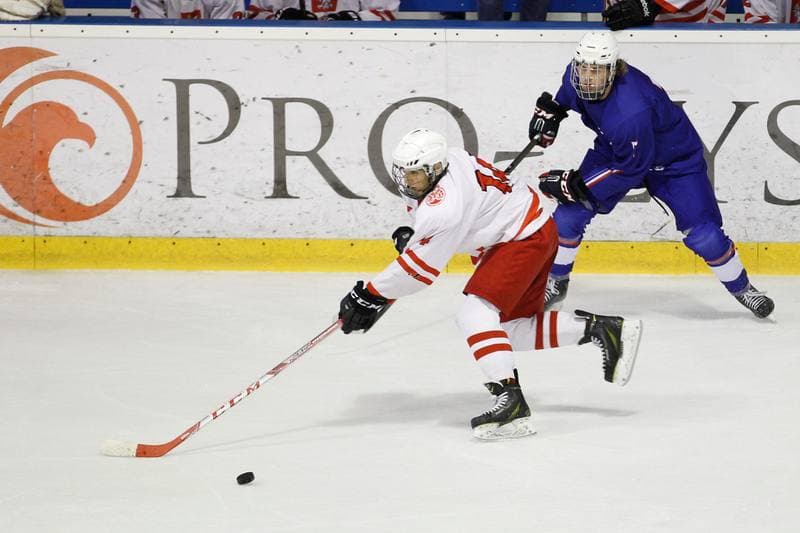Ice Hockey. Friendly Match. Poland U20 - France U20. 06.08.2016