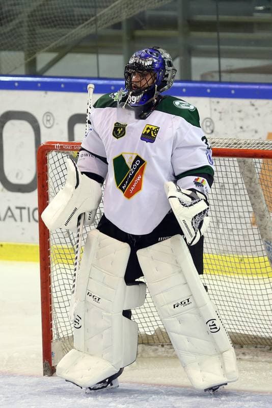 Ice Hockey. Polska Hokej Liga. Naprzod Janow - GKS Tychy. 15.10.2017