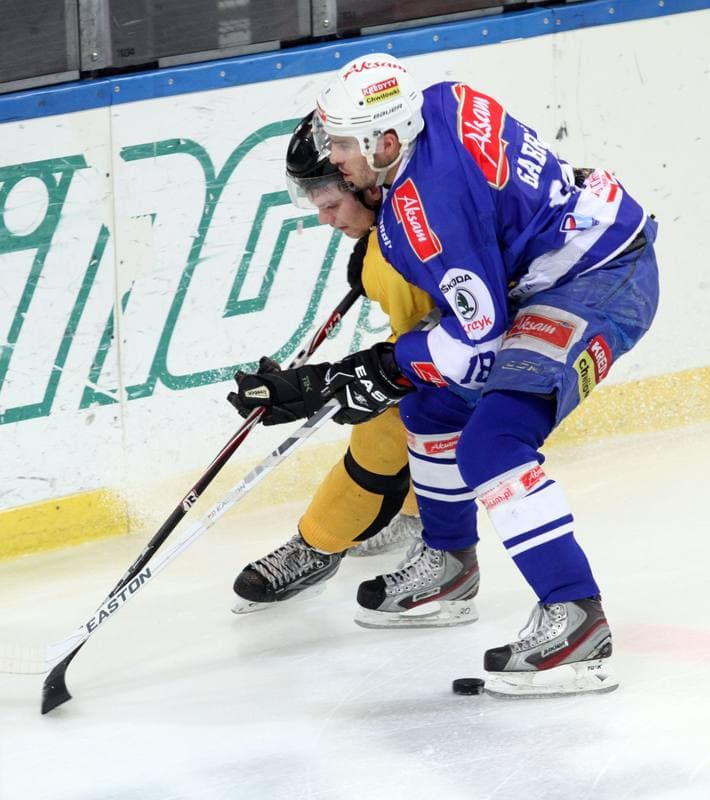 Ice Hockey. Polska Hokej Liga. HC GKS Katowice - Unia Oswiecim. 12.11.2013