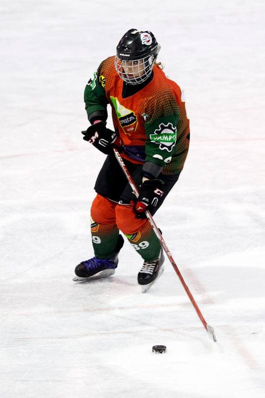 Ice Hockey. PLHK. Polonia Bytom - Naprzod Janow. 21.10.2017
