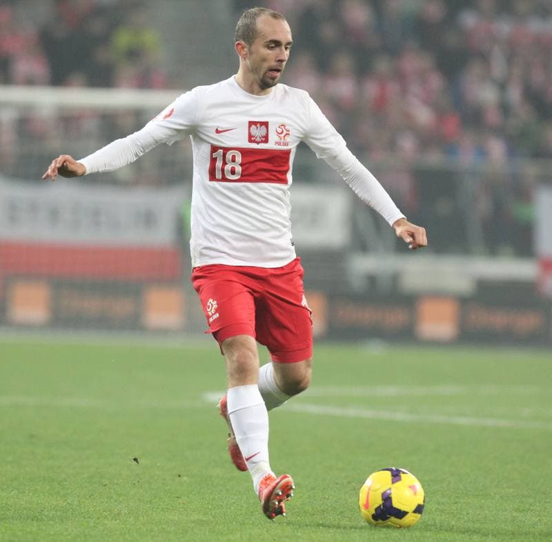 Football. International Friendly. Poland - Slovakia. 15.11.2013