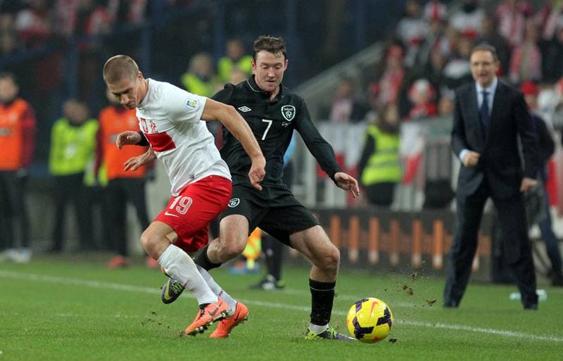 Football. International Friendly. Poland - Slovakia. 15.11.2013
