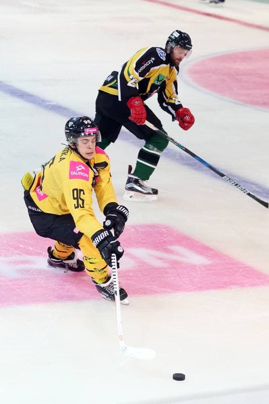 Ice Hockey. Polska Hokej Liga. Tauron KH GKS Katowice - JKH GKS Jastrzebie. 03.10.2017