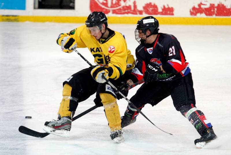 Ice Hockey. Polska Hokej Liga. HC GKS Katowice - Ciarko KH Sanok. 17.01.2014