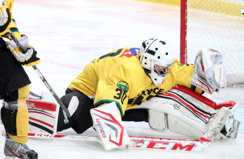 Ice Hockey. Polska Hokej Liga. HC GKS Katowice - Ciarko KH Sanok. 17.01.2014