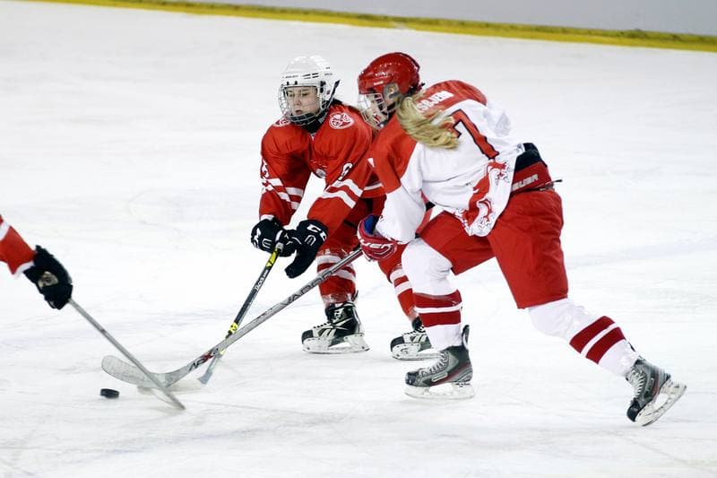 Ice Hockey. Women's U18 Friendly Match. Poland - Denmark. 06.01.2017