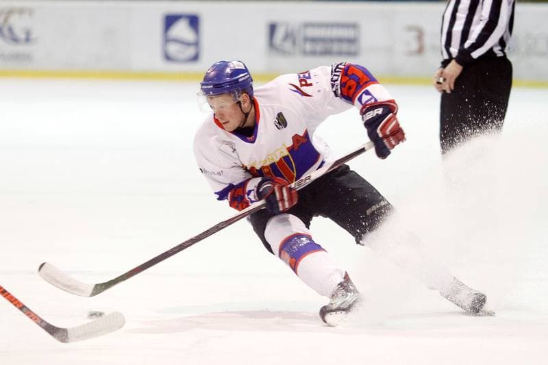 Ice Hockey. Polska Hokej Liga. Tempish Polonia Bytom - JKH GKS Jastrzebie. 20.01.2017