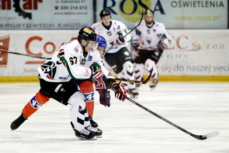 Ice Hockey. Polska Hokej Liga. GKS Tychy - Tempish Polonia Bytom. 22.01.2017