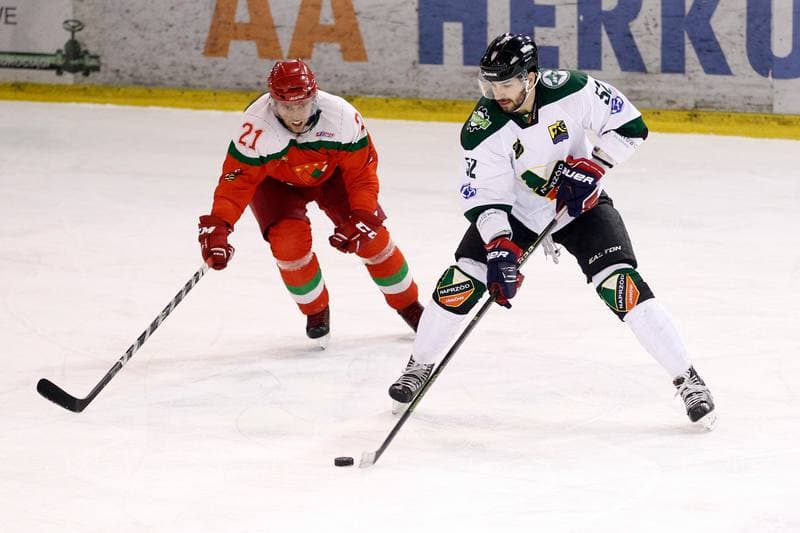 Ice Hockey. I Liga. Naprzod Janow - Zaglebie Sosnowiec. 22.01.2017