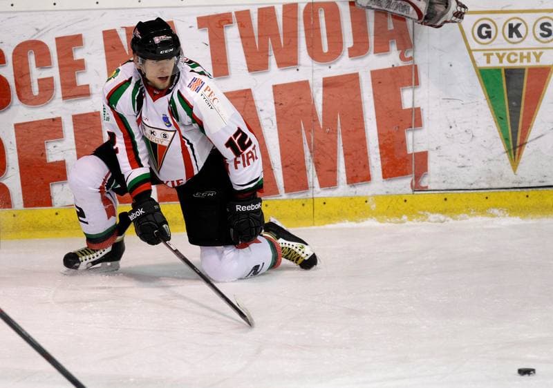 Ice Hockey. Polska Hokej Liga. GKS Tychy - Ciarko KH Sanok. 23.01.2015