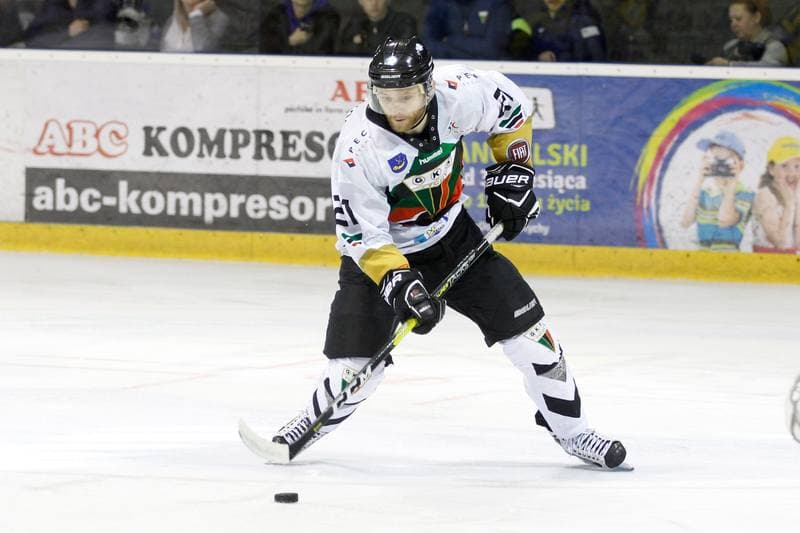 Ice Hockey. PHL. GKS Tychy - TatrySki Podhale Nowy Targ. 30.03.2019