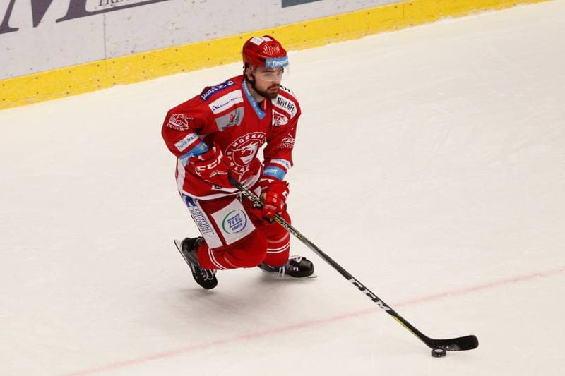 Ice Hockey. Tipsport Extraliga. Ocelari Trinec - Aukro Berani Zlin. 30.12.2017