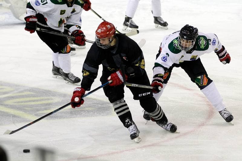 Ice Hockey. Polska Hokej Liga. Anteo Naprzod Janow - Comarch Cracovia Krakow. 19.01.2018