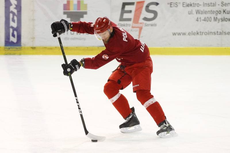 Ice Hockey. Poland national team. Training. 13.02.2018