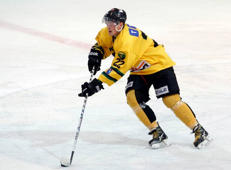 Ice Hockey. Polska Hokej Liga. HC GKS Katowice - Podhale Nowy Targ. 25.02.2014