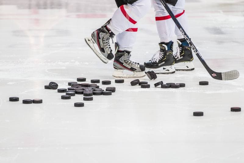 Ice Hockey. EWHL. Silesia Breckens - Hvidovre IK Selects. 01.12.2019