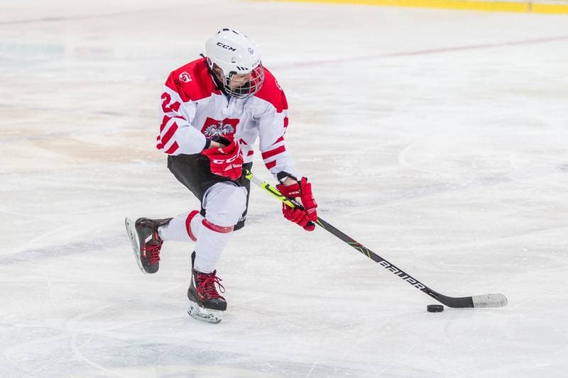 Ice Hockey. EWHL. Silesia Breckens - Hvidovre IK Selects. 01.12.2019