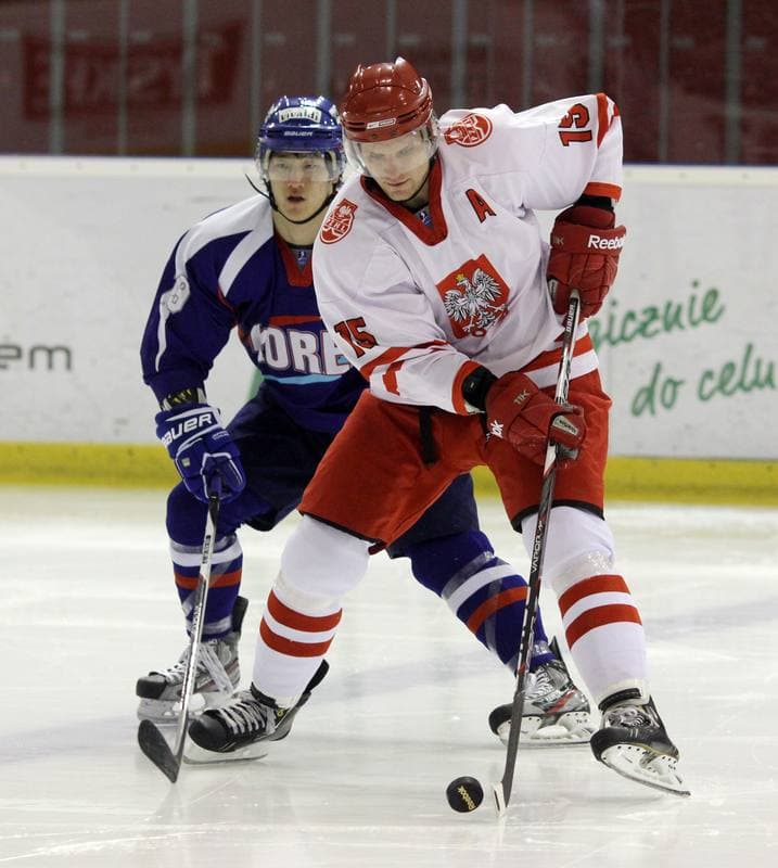 Ice Hockey. Poland. Press Conference. 07.02.2013