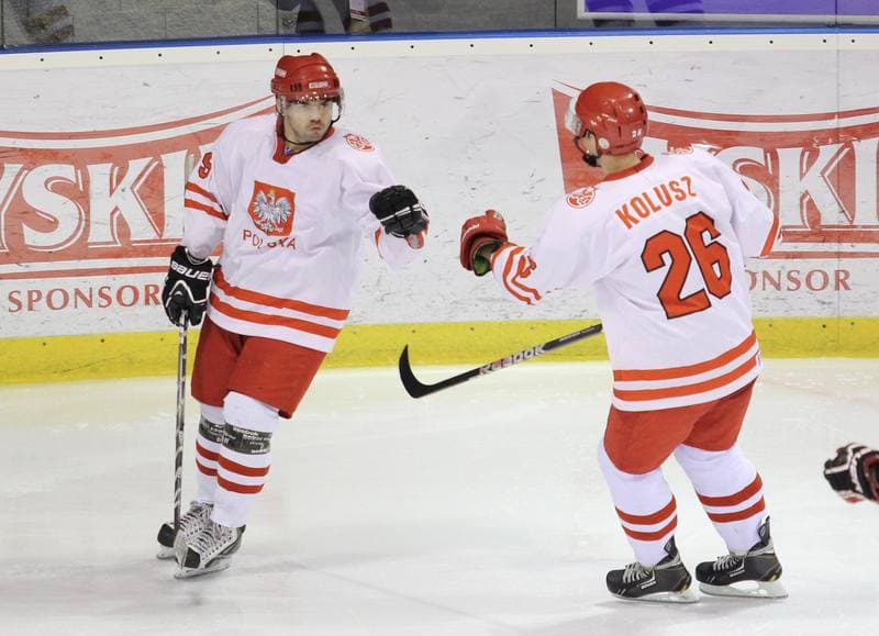 Ice Hockey. Euro Ice Hockey Challenge. Poland - Romania. 08.02.2013