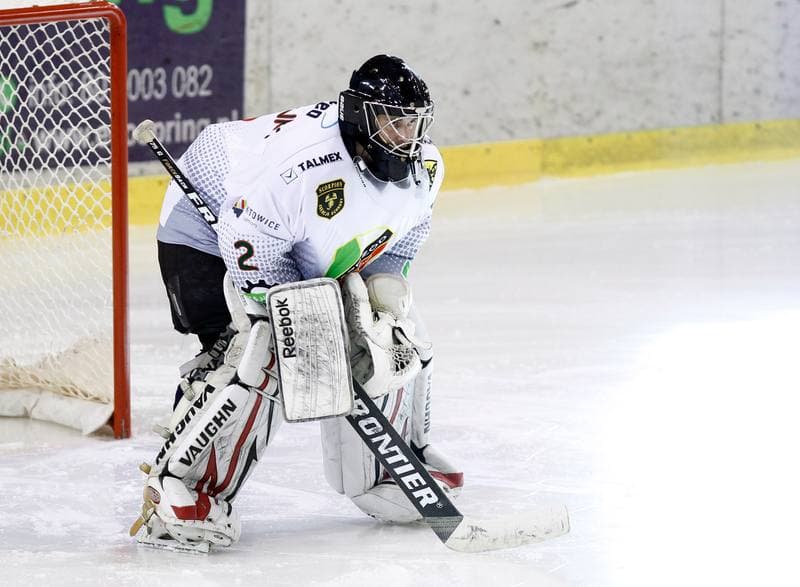 Ice Hockey. Polska Hokej Liga. Naprzod Janow - GKS Tychy. 19.10.2014