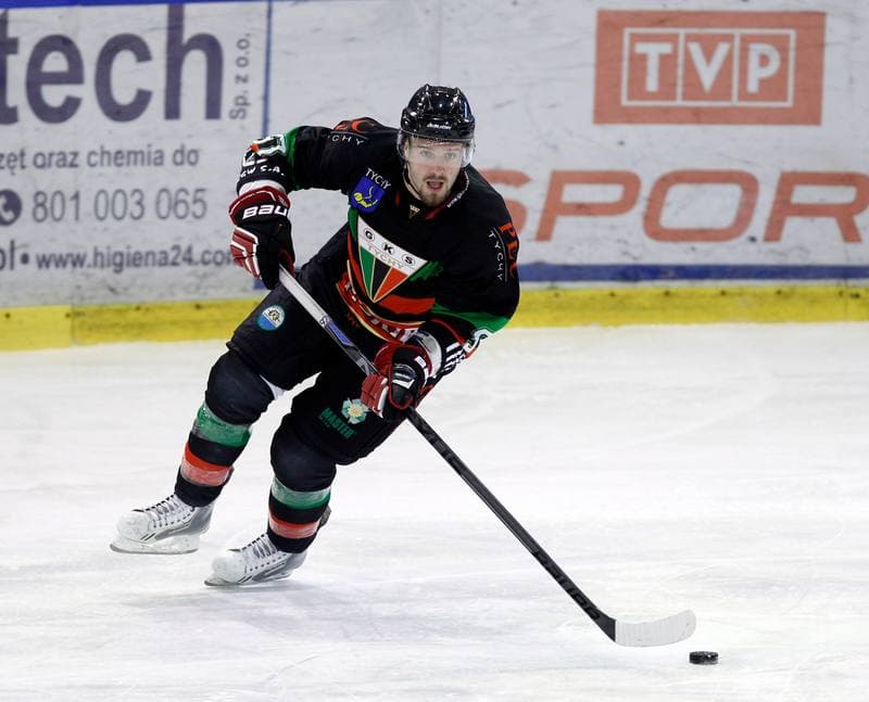 Ice Hockey. Polska Hokej Liga. Naprzod Janow - GKS Tychy. 19.10.2014