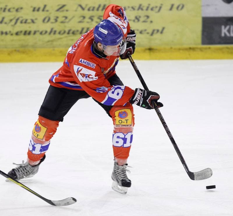 Ice Hockey. Polska Hokej Liga. Naprzod Janow - Polonia Bytom. 09.10.2014